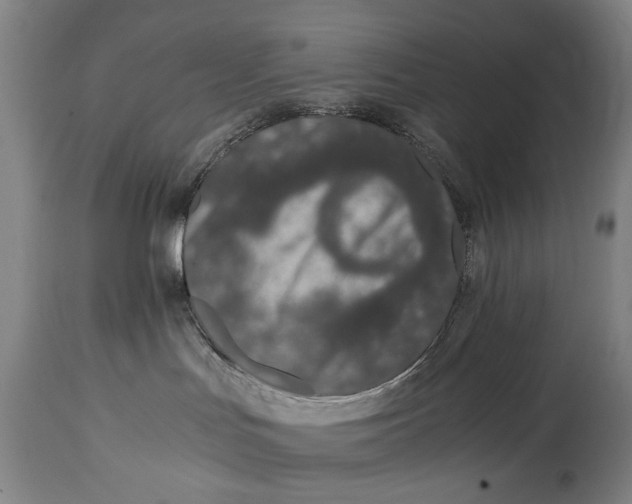 X0000114660047200911101353