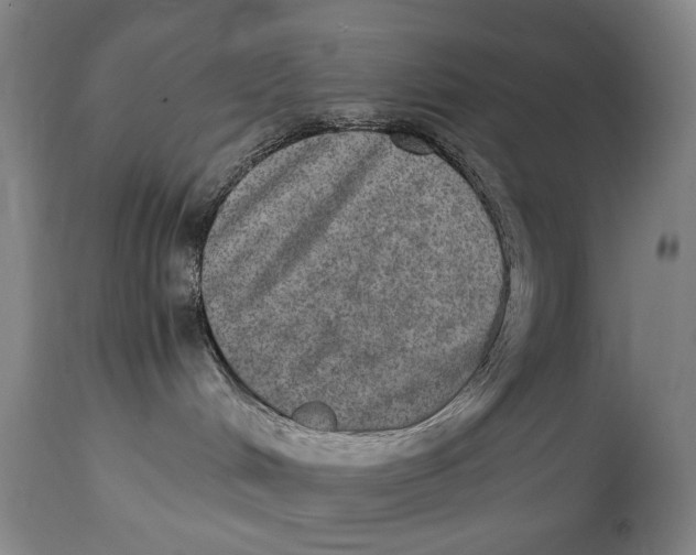 X0000114660048200911101353