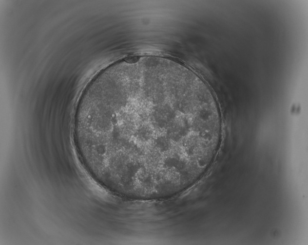 X0000114660049200911101352