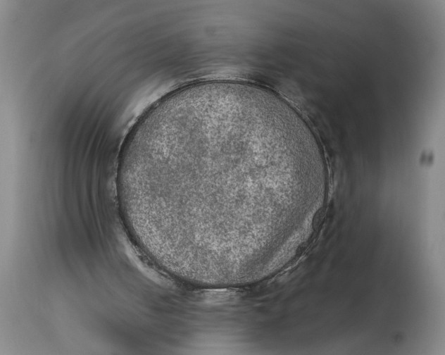 X0000114660050200911101352