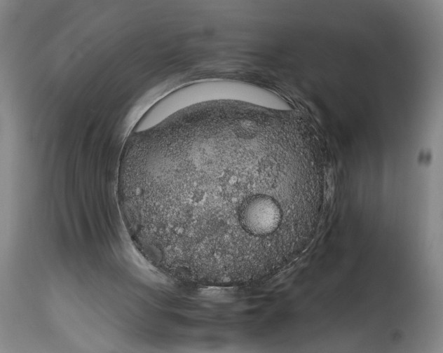 X0000114660051200911101352