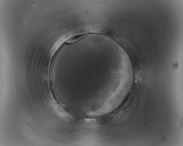 X0000114660052200911101352