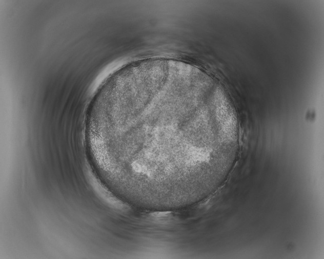 X0000114660054200911101352