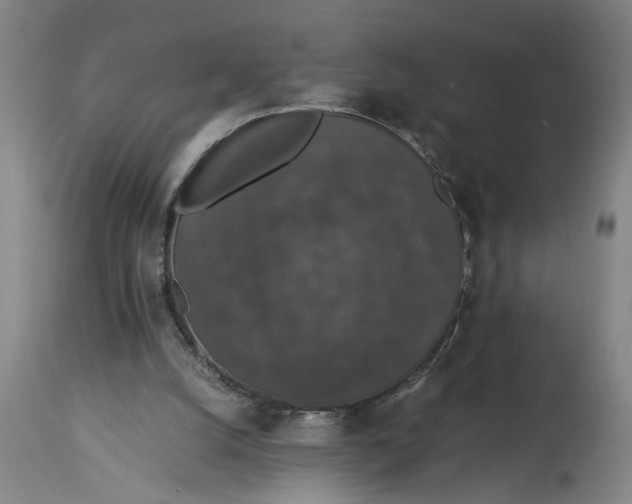 X0000114660056200911101352