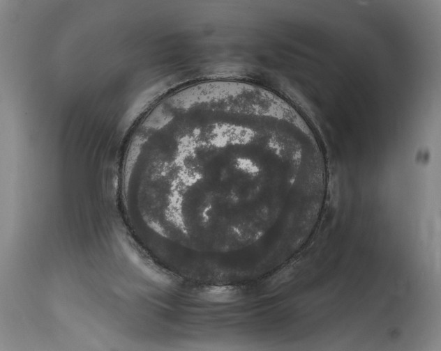 X0000114660059200911101352