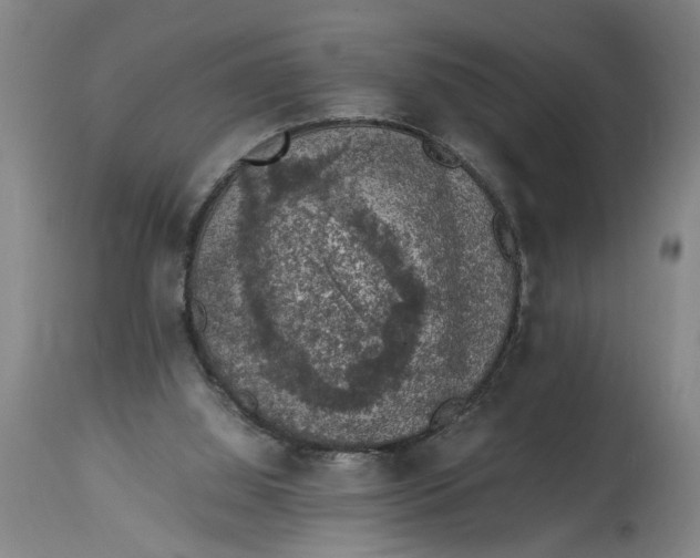 X0000114660060200911101352