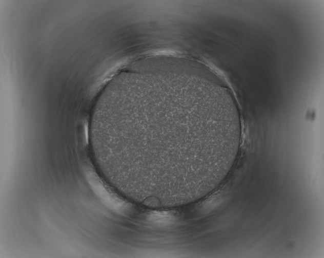 X0000114660061200911101352