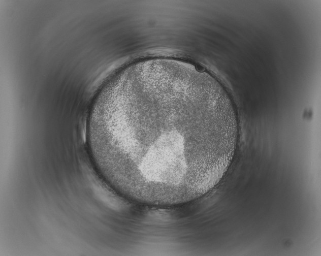 X0000114660062200911101352