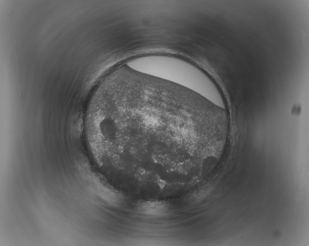 X0000114660063200911101352