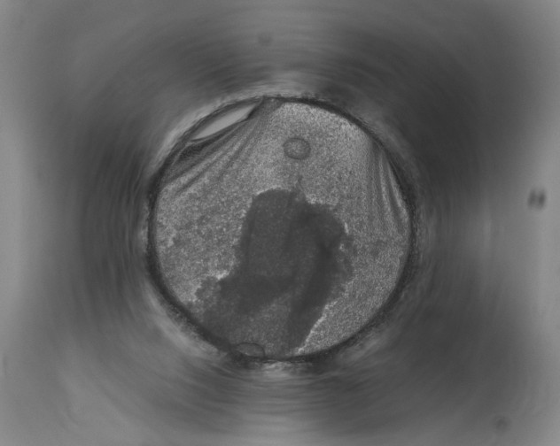 X0000114660064200911101352