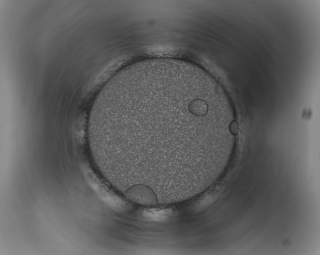 X0000114660065200911101352