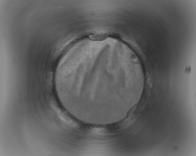 X0000114660066200911101352