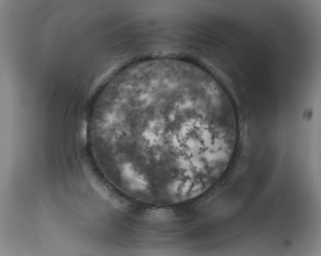 X0000114660067200911101352