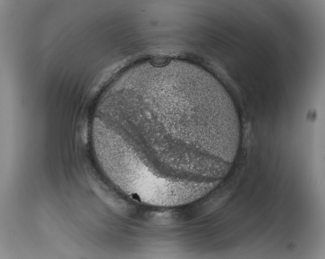 X0000114660068200911101352