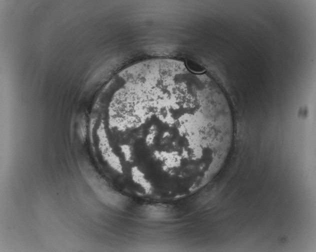 X0000114660069200911101352