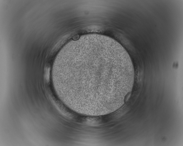 X0000114660070200911101352