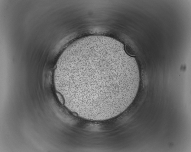 X0000114660071200911101352