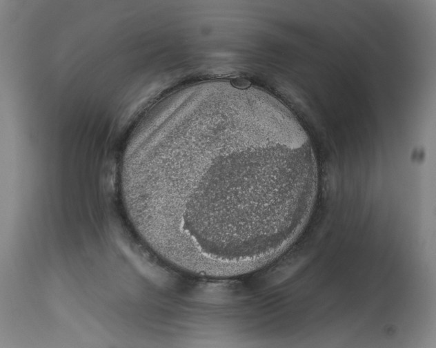 X0000114660072200911101352