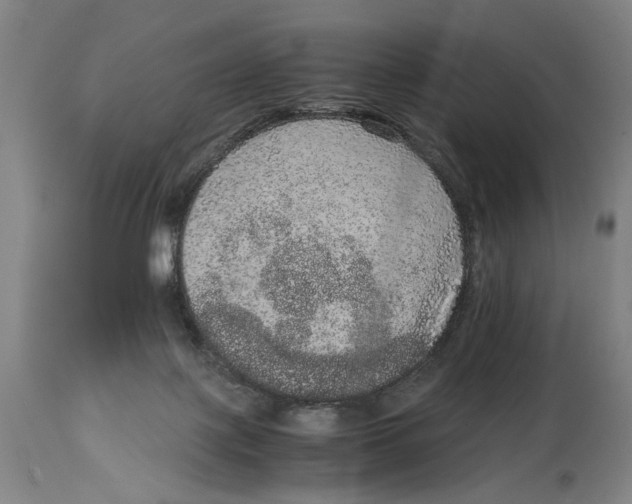 X0000114660075200911101352