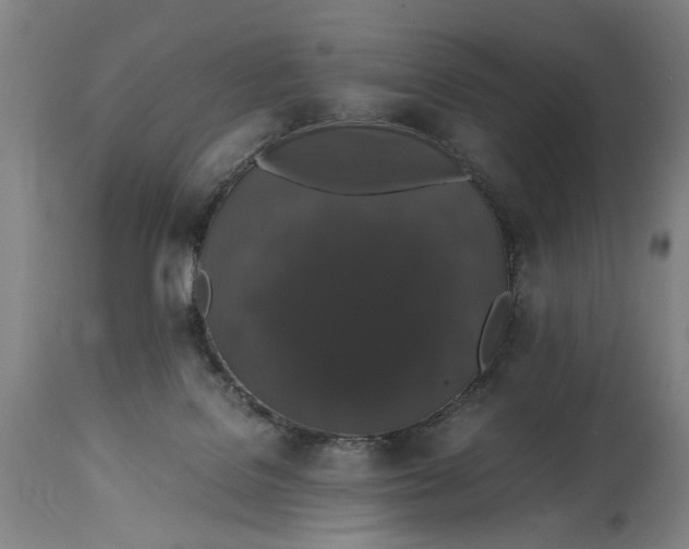 X0000114660076200911101352