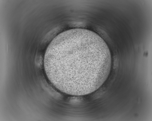 X0000114660077200911101352