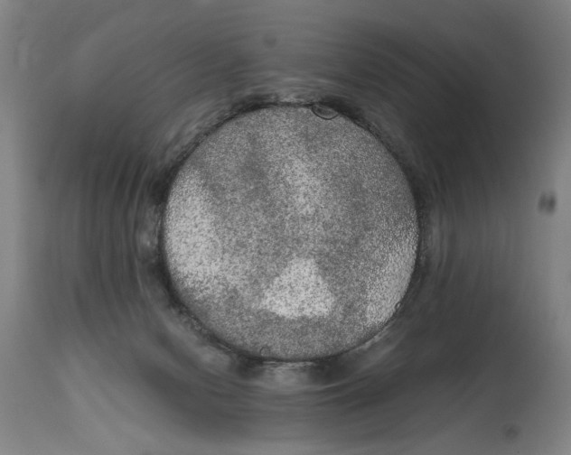 X0000114660078200911101352