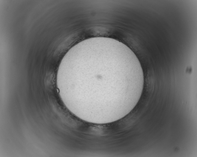 X0000114660079200911101352