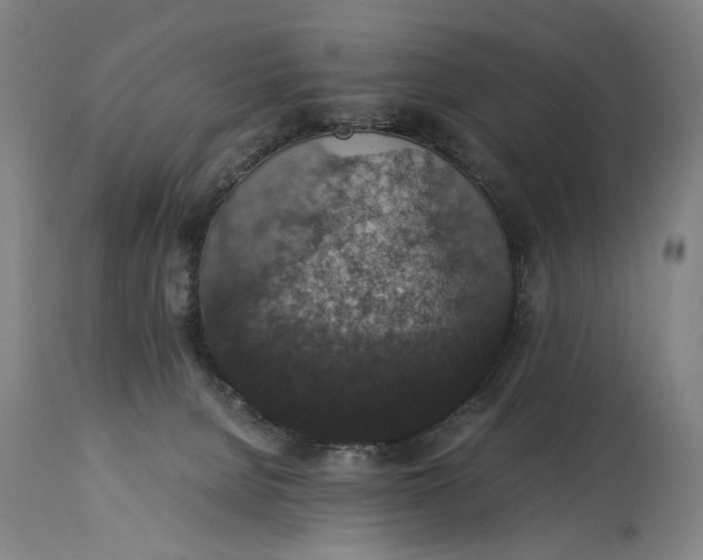 X0000114660080200911101352