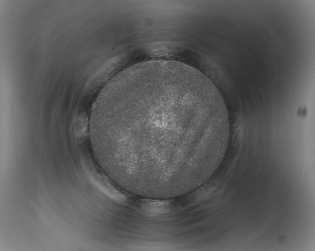 X0000114660081200911101352