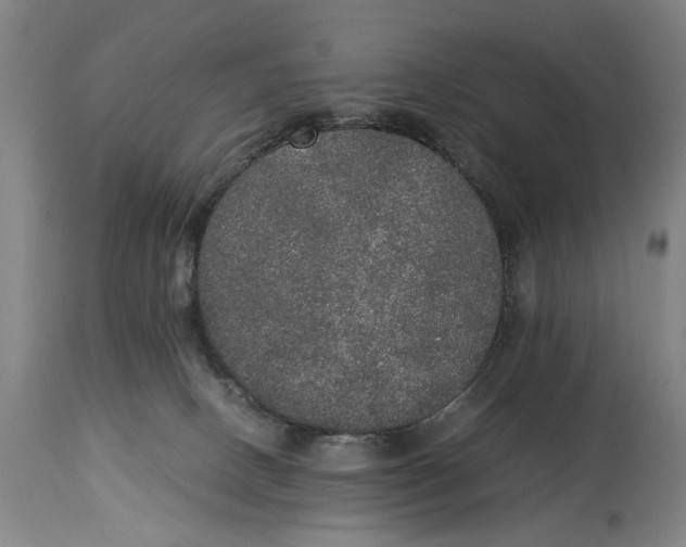 X0000114660082200911101352