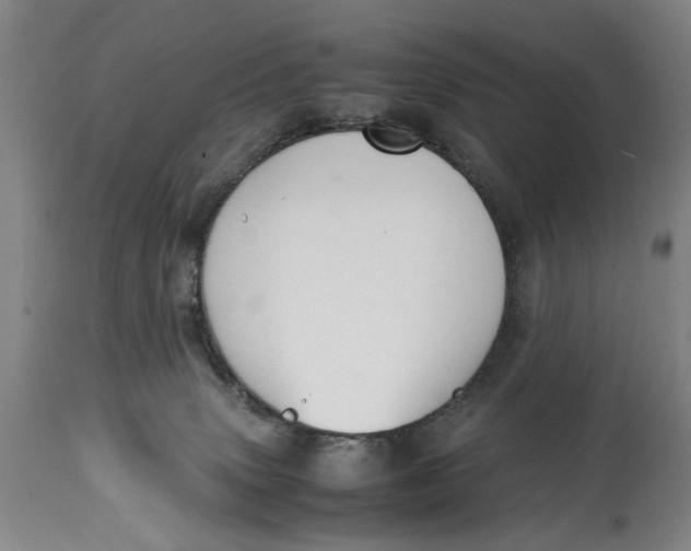 X0000114660083200911101352