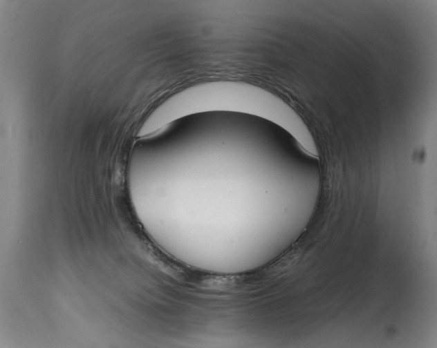 X0000114660084200911101352