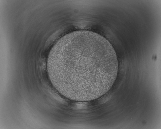 X0000114660085200911101352