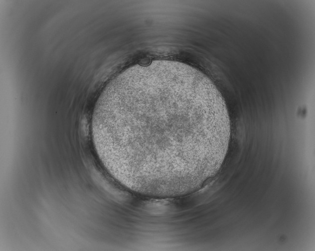 X0000114660086200911101352