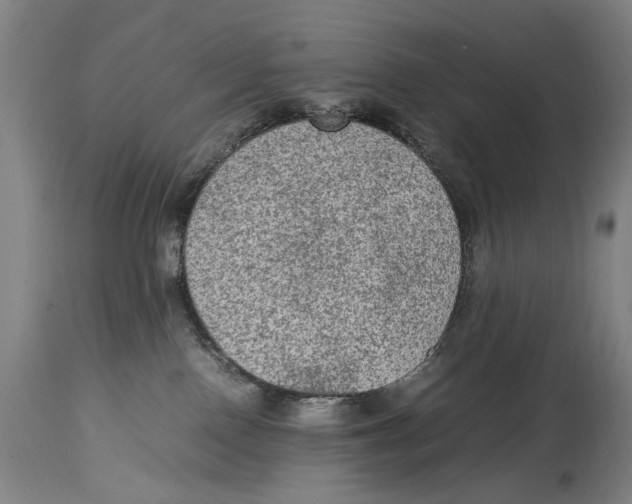 X0000114660090200911101353