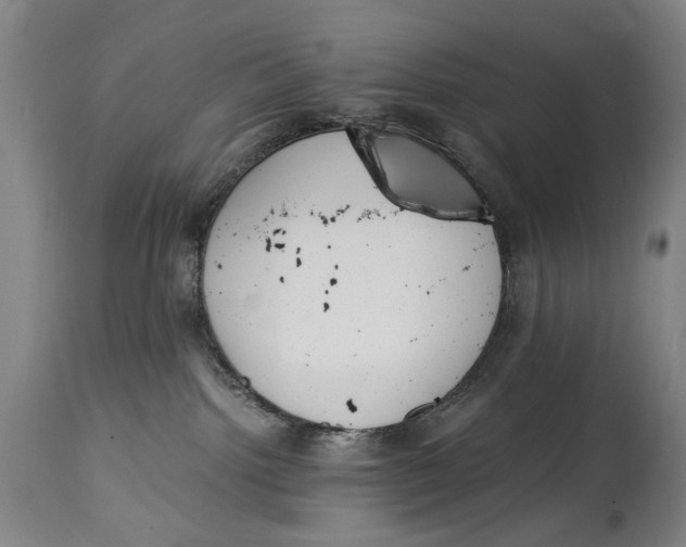 X0000114660092200911101353