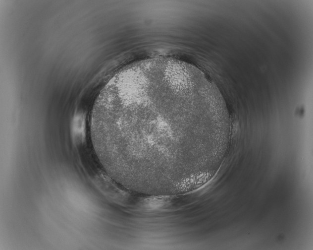 X0000114660094200911101353