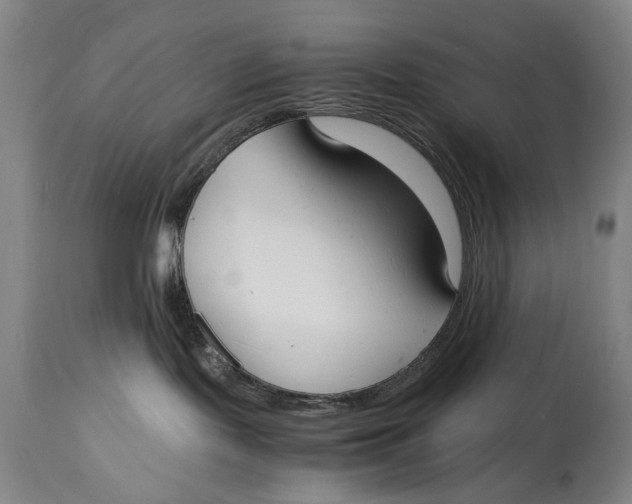 X0000114660095200911101353