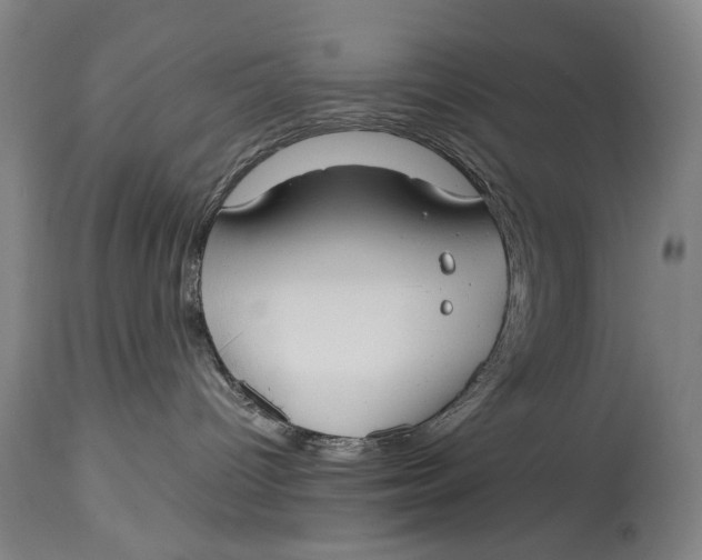 X0000114660096200911101353