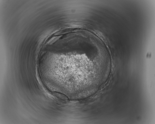 X0000114660097200911101352