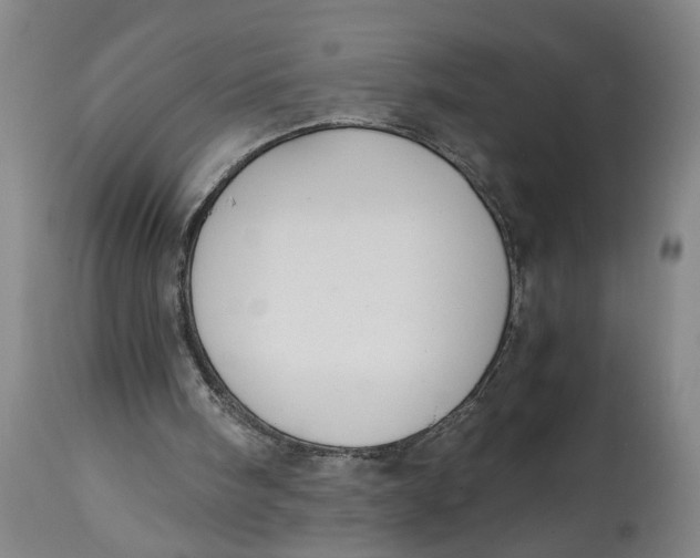 X0000114660098200911101352