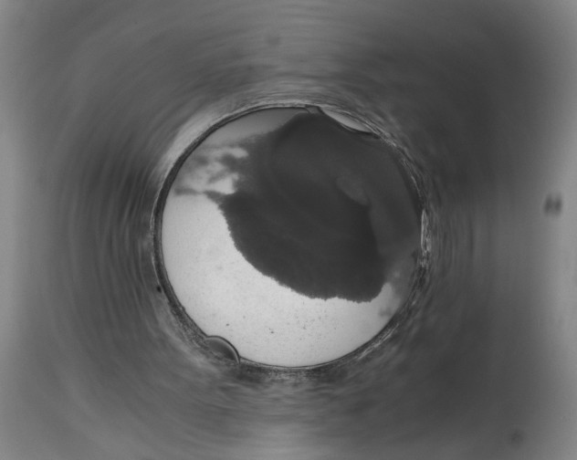 X0000114660099200911101352