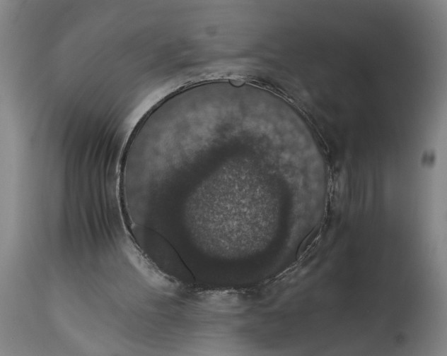 X0000114660100200911101352