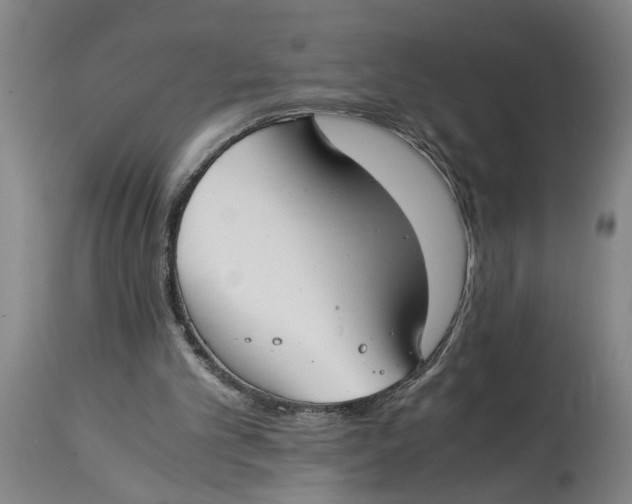 X0000114660101200911101352