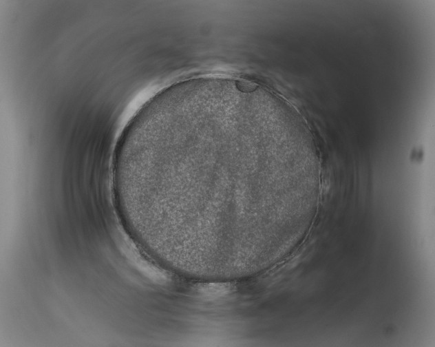 X0000114660102200911101352