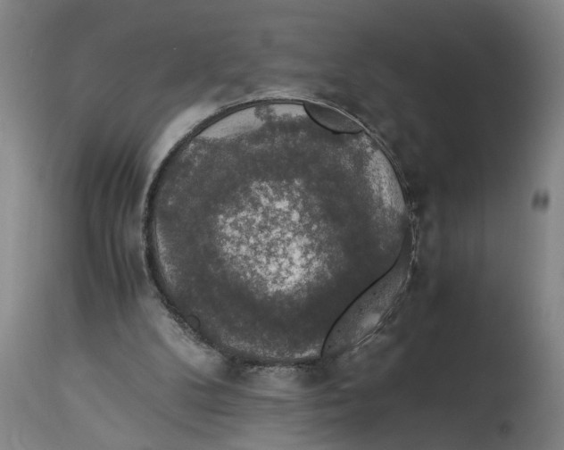 X0000114660104200911101352