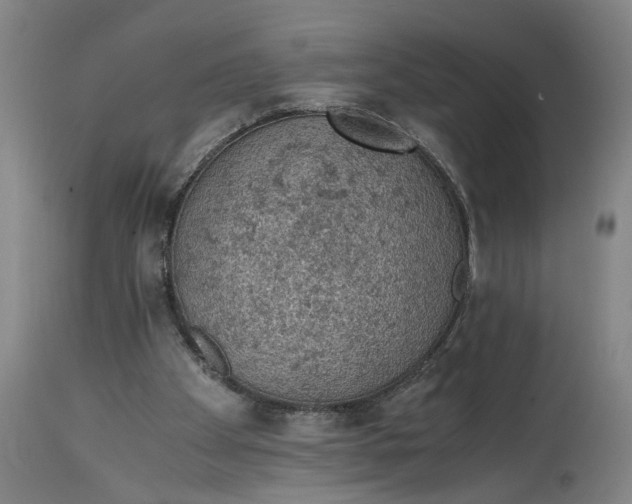 X0000114660105200911101352