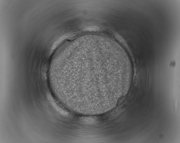 X0000114660106200911101352