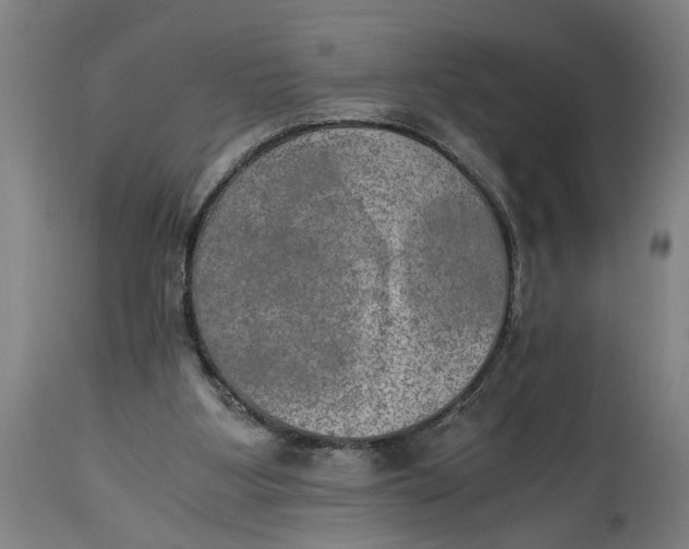 X0000114660107200911101352