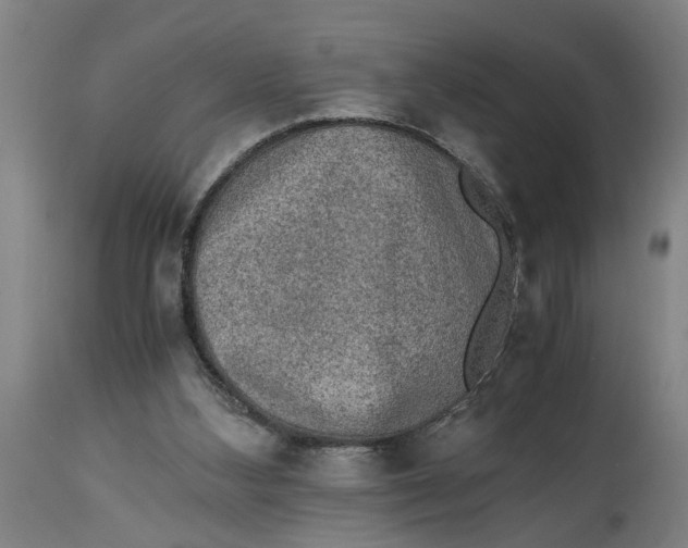 X0000114660108200911101352